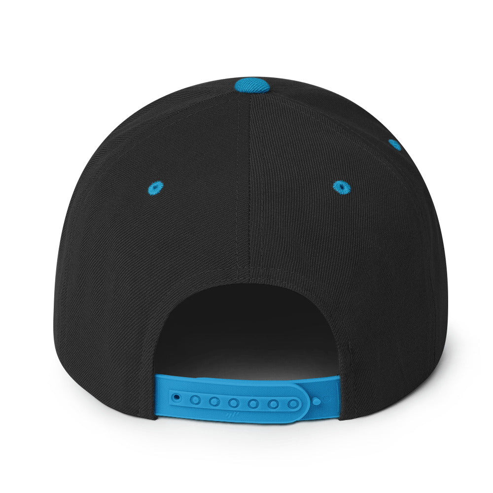 Tidal Hippie logo Snapback Hat