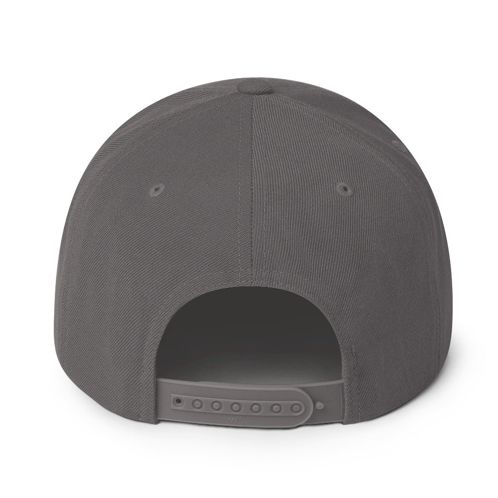 Tidal Hippie logo Snapback Hat