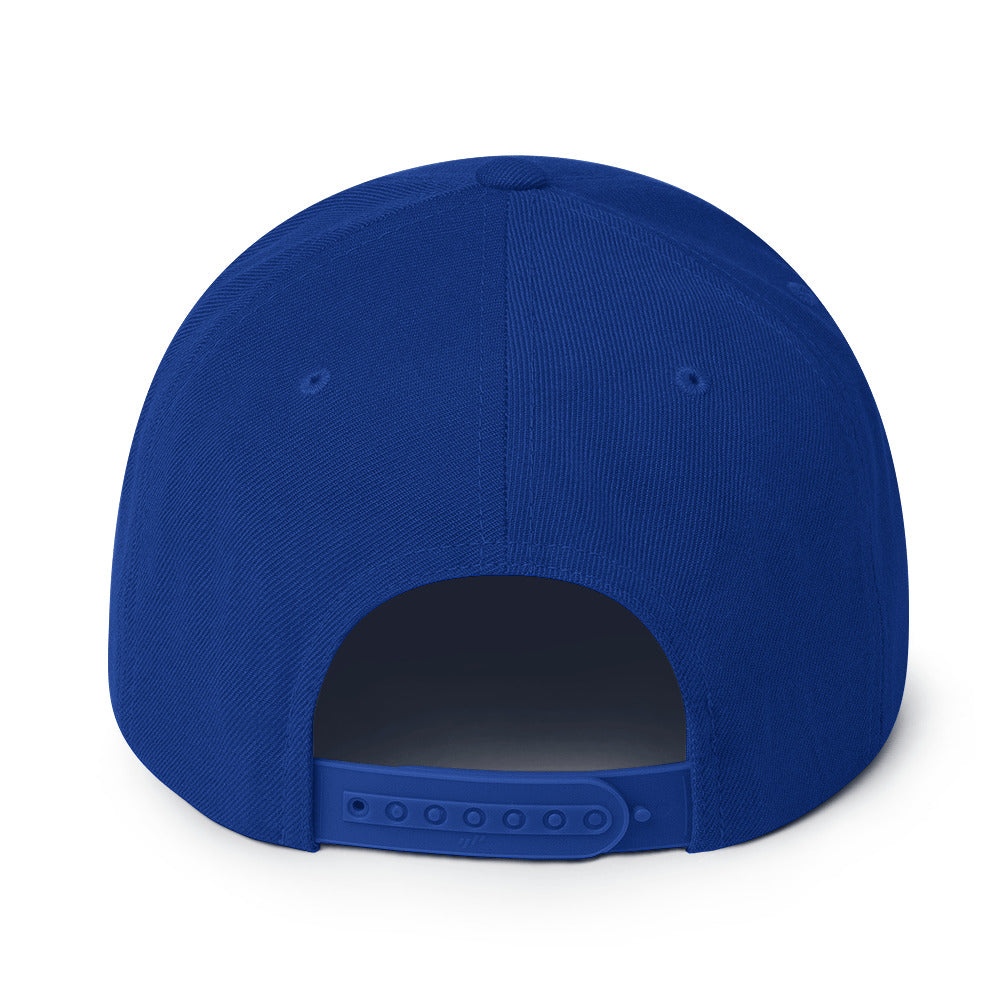 Tidal Hippie logo Snapback Hat